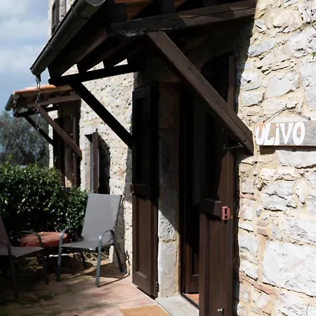 Sasseta Alta Scansano