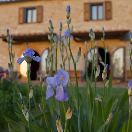 Sasseta Alta Farm stay Scansano