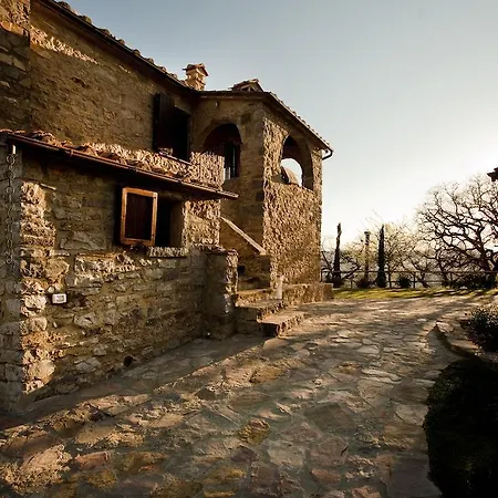 Sasseta Alta Scansano