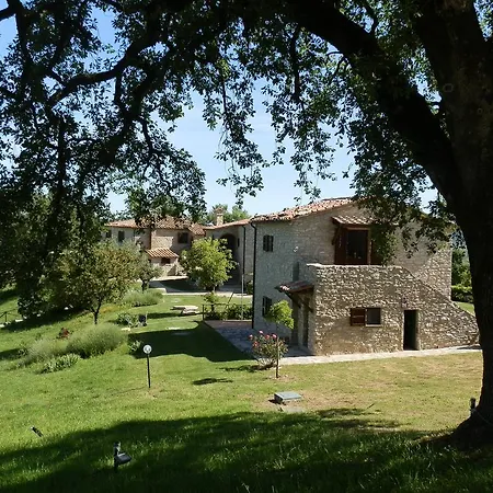 Farm stay Sasseta Alta
