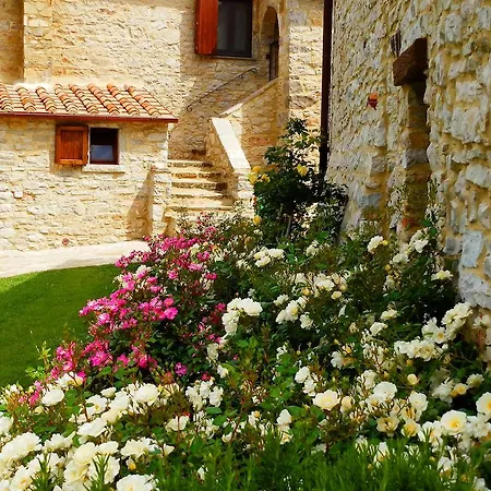 Sasseta Alta Scansano