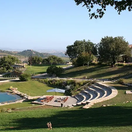 Sasseta Alta Scansano