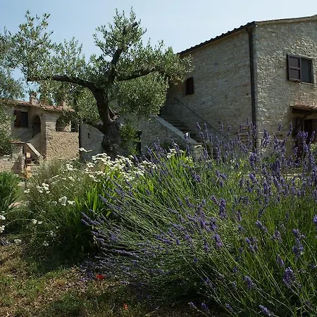 Farm stay Sasseta Alta Scansano