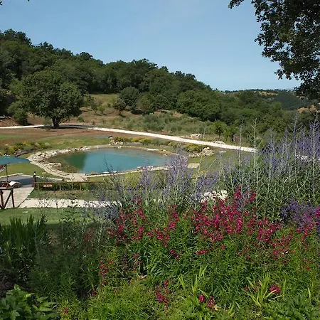 Alloggio per agriturismo Sasseta Alta